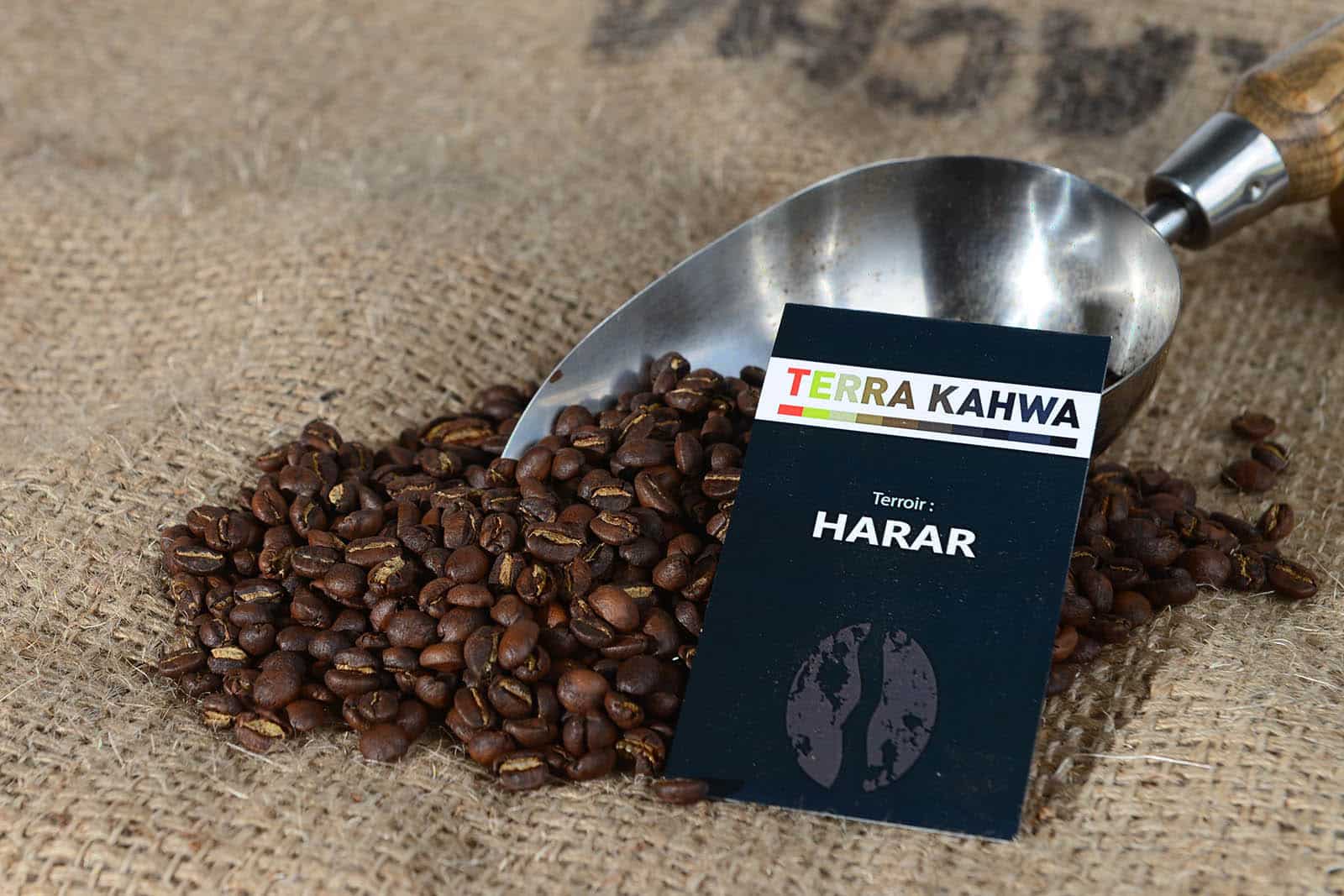 Abonnement café en grain ou moulu Arabica Moka Harar 1kg/mois