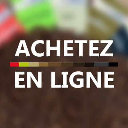 Boutique en ligne café éthiopien