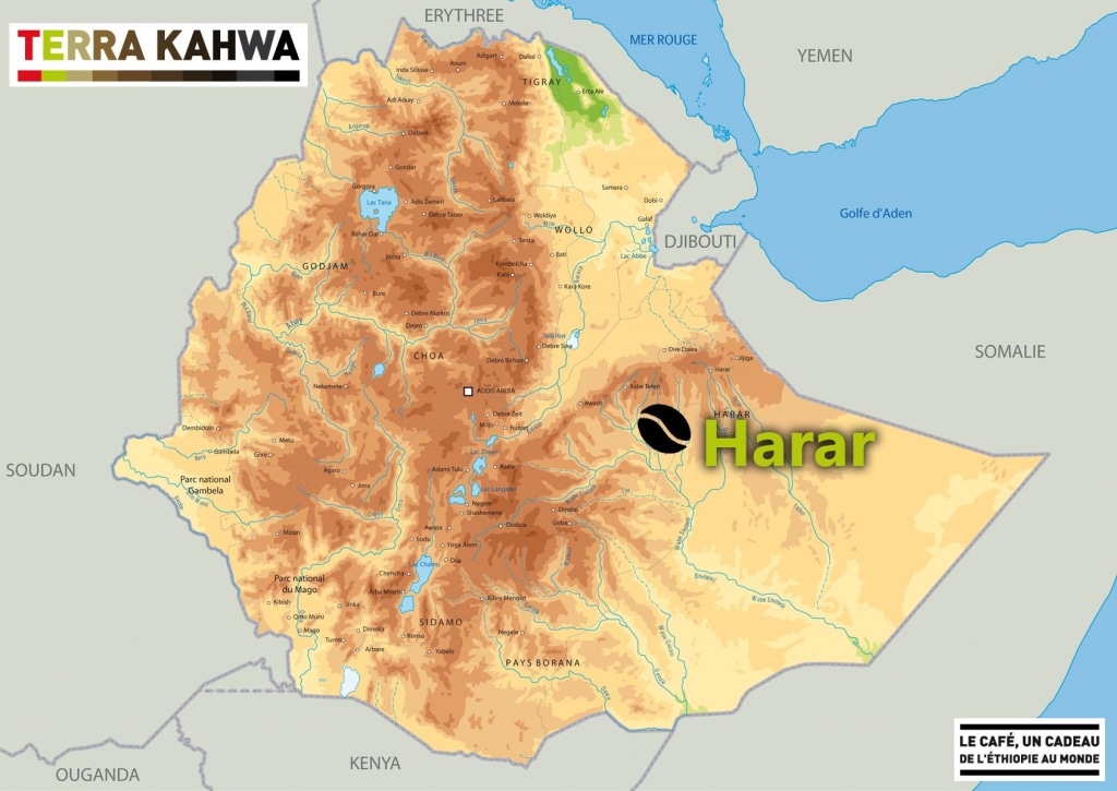 cafe torrefie harar cafe d ethiopie origine certifiee terra kahwa 500g terra kahwa