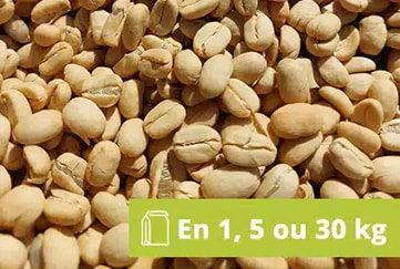 Demande Devis Café Vert TERRA KAHWA